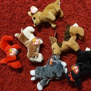 6 Dog Beanie Babies